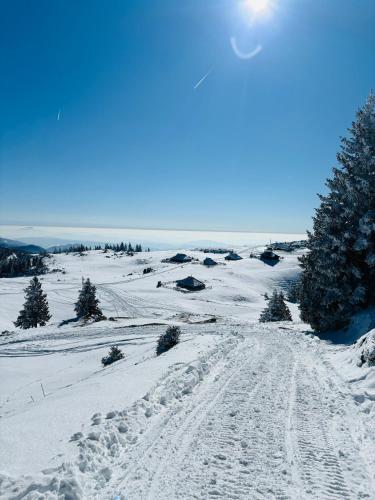 a snow covered field with trees and a trail at DOMŽALSKI DOM na Veliki Planini in Stahovica