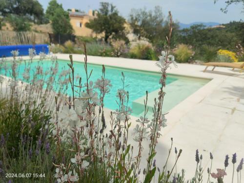 une piscine bleue avec des fleurs devant elle dans l'établissement les gîtes du Mas ANNA, à Céret