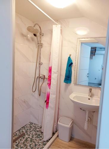 a bathroom with a shower and a sink at House GITA in Mrljane