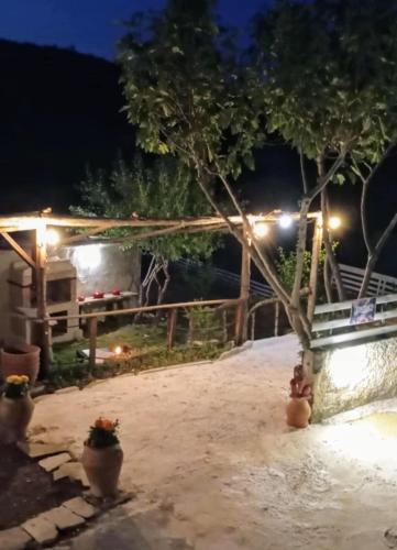 a backyard at night with a tree and lights at Παραδοσιακό σπιτι frozen in Elefterna