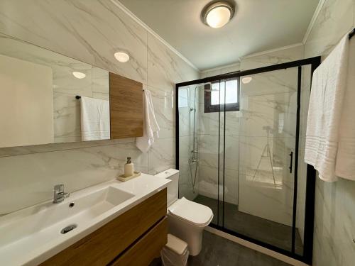 a bathroom with a sink and a toilet and a shower at Aristea Seaside Retreat with Private Pool in Kalamaki Heraklion