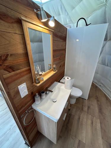 une salle de bain avec un lavabo et un miroir et des toilettes dans l'établissement Berry Dome, à Saint-Priest-la-Marche