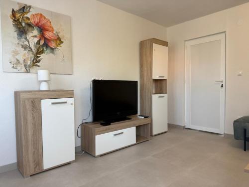 Μια τηλεόραση ή/και κέντρο ψυχαγωγίας στο Apartman Luna Sabunike