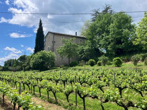 un champ de vigne avec un bâtiment en arrière-plan dans l'établissement Les Cezennes, à Saint-Ambroix