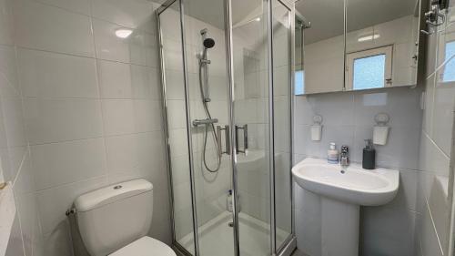 une salle de bain avec une douche, des toilettes et un lavabo dans l'établissement La Prairie - 4 chambres, parking, jardin, à Bures-sur-Yvette
