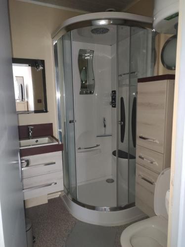 une salle de bain avec une douche avec des toilettes et un lavabo dans l'établissement Appartement T2 450m de la plage des demoiselles, avec garage et possibilité de vélos à 950m de la rue piétonne, à Saint-Hilaire-de-Riez