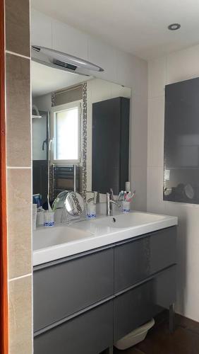 une salle de bain avec un grand lavabo et un miroir dans l'établissement Chambre Viviane, à Néant-sur-Yvel
