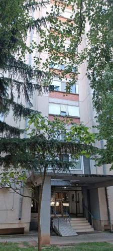 a building with a tree in front of it at Apartman Janković in Paraćin