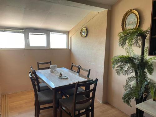 a dining room with a table and chairs and a plant at Apartman Janković in Paraćin