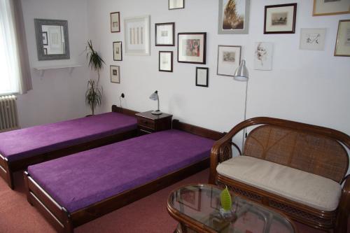 ポジェブラディにあるAngel Room Poděbradyの紫のシーツが備わる客室内のベッド2台