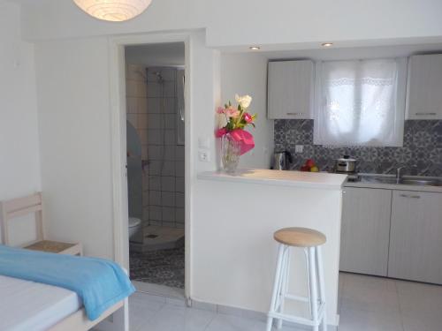 Mini City Center Studio في بلدة رودس: مطبخ مع إناء من الزهور على منضدة
