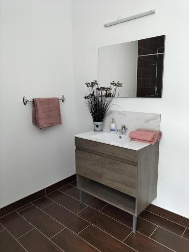 une salle de bain avec un lavabo et un miroir dans l'établissement Grande maison en lieu calme proche nature Lacs, forêt, Parcs, à Raon-lʼÉtape