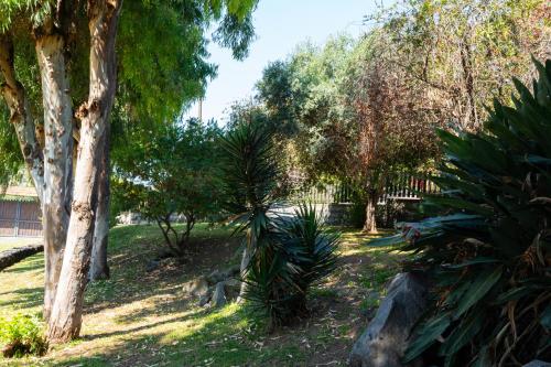 a park with trees and plants in the grass at Silvanae Pool Villa in Aci Castello