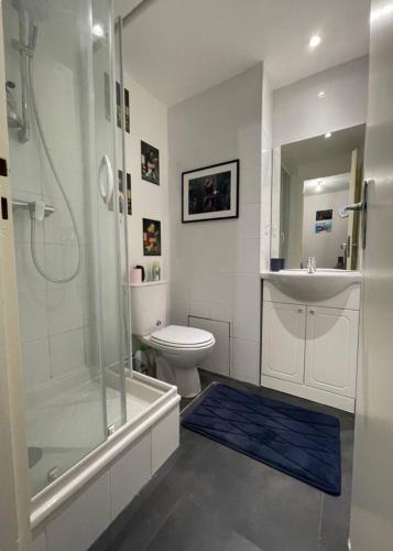 une salle de bain avec une douche, des toilettes et un lavabo dans l'établissement Heroes Home, à Annecy