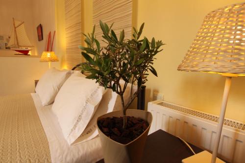 Gallery image of Angeliki Studio & Apartment in Gaios