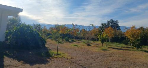a view of a field with trees in the background at Cuesta de san miguel in Chilecito