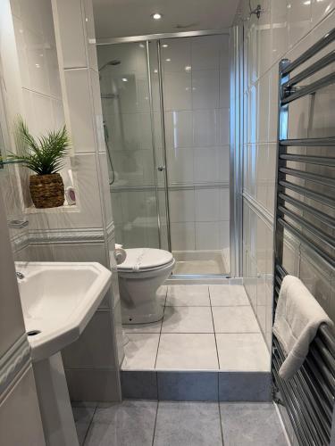a bathroom with a shower and a toilet and a sink at The Ship Inn - Sandgate in Folkestone