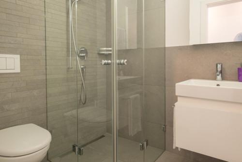 a bathroom with a shower and a toilet and a sink at Edelweiss Casa Cassons in Flims