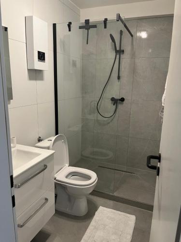 a bathroom with a shower and a toilet and a sink at Schloss Appartement in Paderborn