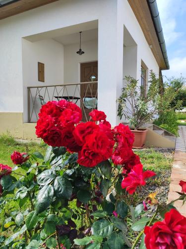 a pile of red roses in front of a house at Egyszervolt Házikó in Tiszafüred