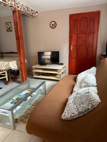 TV a/nebo společenská místnost v ubytování Tiszai Fenyves Apartman