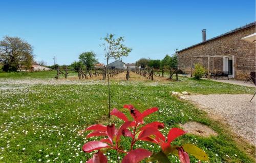 a garden with a red flower in the grass at Holiday Home On A Vineyard in Savigné