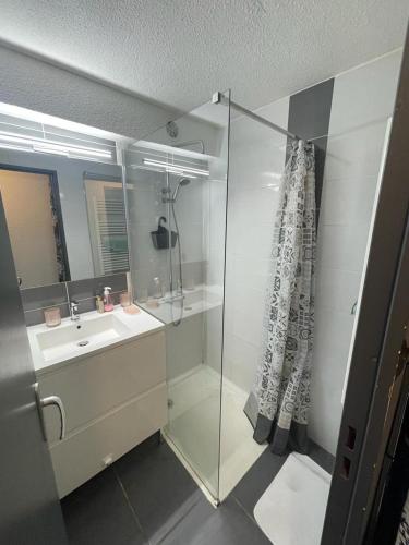 une salle de bain avec une douche en verre et un lavabo dans l'établissement Charmant 2 pièces très bien situé, au Cap d'Agde