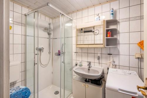 a bathroom with a shower and a sink at Ferienhaus Harzvorland in Frose