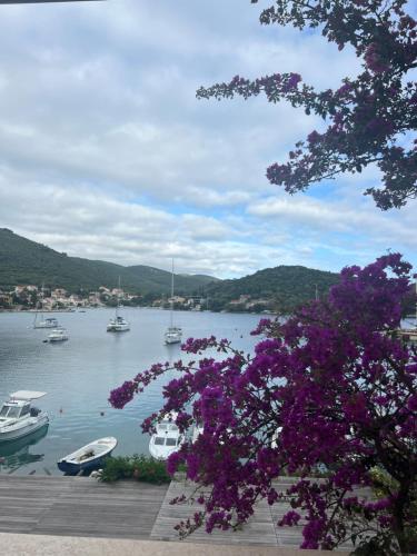 a view of a harbor with boats in the water at Korcula Apartment direkt am Meer -Zrnovska banja -2,5 km zur Altstadt Korcula in Korčula