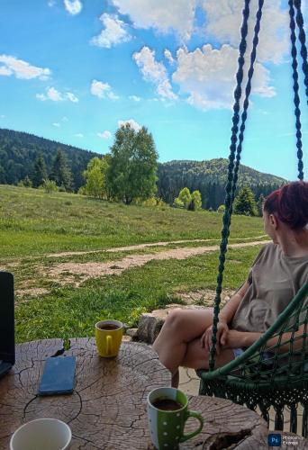 a woman sitting on a swing looking out over a field at Apartmani ZELENI MEDA in Mitrovac