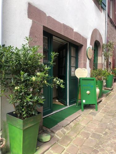 une porte verte d'un bâtiment avec des plantes en pot dans l'établissement Maison Mâje, à Saint-Jean-Pied-de-Port