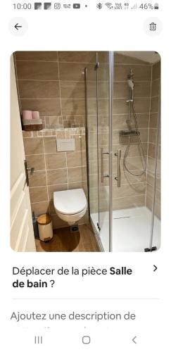 La salle de bains est pourvue d'une cabine de douche et de toilettes. dans l'établissement Echarvines, à Talloires