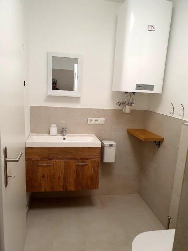 a bathroom with a sink and a mirror at Sinnvoll - Ferienwohnung1 in Sankt Anna am Aigen