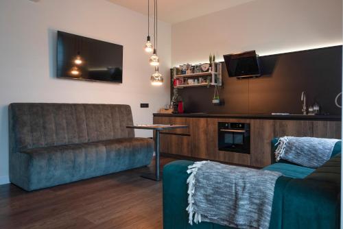 a living room with a couch and a television at Hof van In & Wellness in Hasselt
