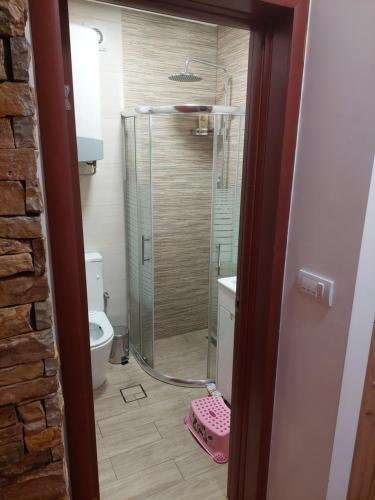 Koupelna v ubytování Apartman Šapat bora