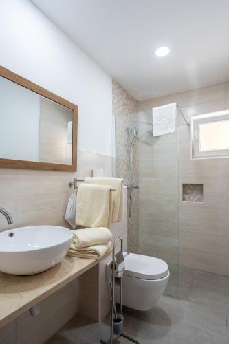 a bathroom with a sink and a toilet and a shower at Studio Istra in Rovinj