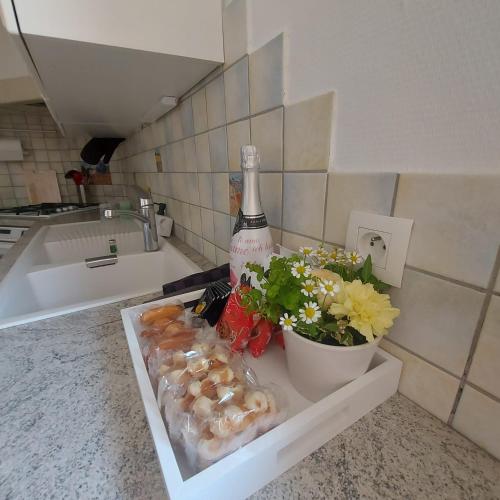 Dapur atau dapur kecil di Gîte typique alsacien maison vigneronne 18e siècle