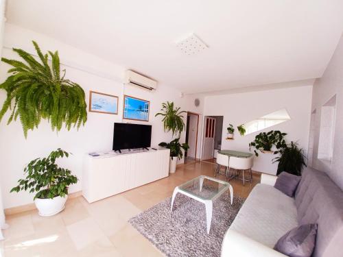 Apartment Eva