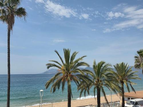 un groupe de palmiers sur une plage avec l'océan dans l'établissement Apartment Le Panoramer by Interhome, à Cannes