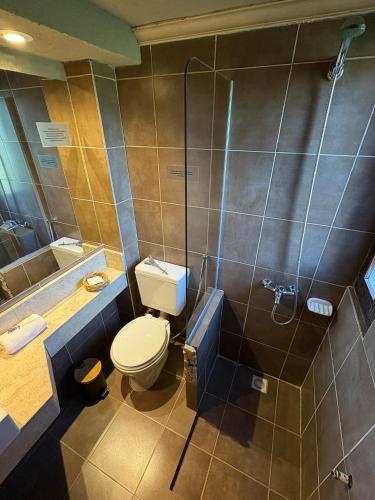 a bathroom with a toilet and a shower at Le Bouquet Apart Hotel in San Carlos de Bariloche