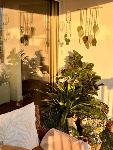 Luxury Penthouse near the Beach photo 12