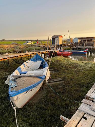 a boat on the grass next to a dock at Happy Stork Tróia Beach Flat in Troia