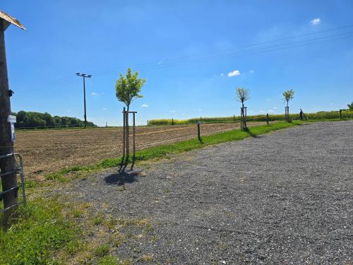 a fence with trees in the middle of a field at Eiselehof Ferienwohnungen in Alleinlage in Rot am See