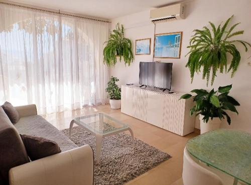 TV a/nebo společenská místnost v ubytování Apartment Eva