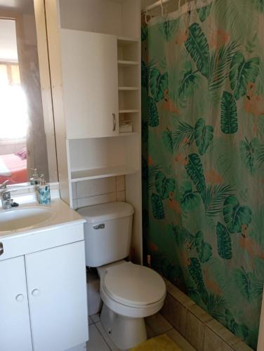 a bathroom with a toilet and a shower curtain at Hermosa vista bahía Valparaíso in Valparaíso