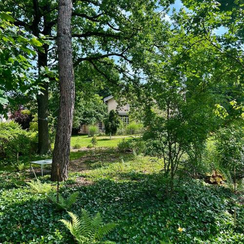 a park with a bench and trees and a house at Domaine de la Serve in Lancié
