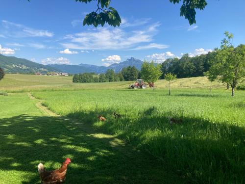 Ferienwohnung Mondsee-Irrsee