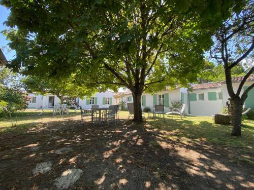 une cour ombragée avec une table et des chaises sous un arbre dans l'établissement La Villa du Clocher, à Saint-Clément-des-Baleines