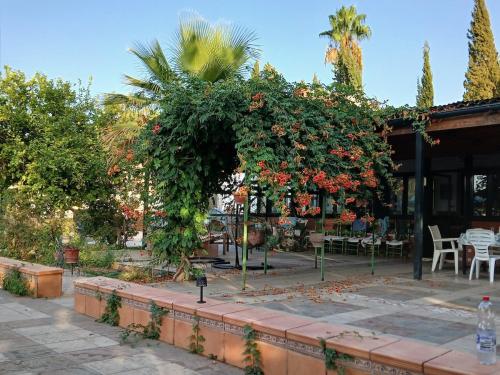 a garden with a building with flowers and plants at Spacious Garden Villa, private pool, huge grounds with orange trees in Dos Hermanas