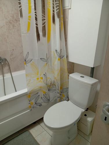 a bathroom with a toilet and a shower curtain at Cameră privata cu baie Tina, Iulius Mall in Timişoara